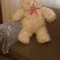 خرس  سایزنود