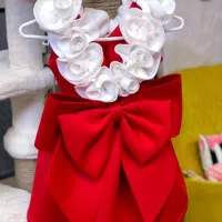 دو عدد لباس سایز۴و۵