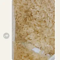 نیم دانه وخرده برنج کامفیروزتمیز شده مستقیم پخت