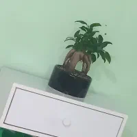 سالن زیبایی در بهترین منطقه مفتح|اجارهٔ دفتر کار، اتاق اداری، مطب|مشهد, گلشور|دیوار