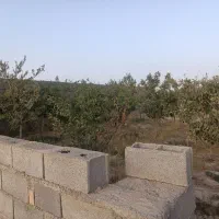 فروش زمین ۵۰۰ متری در درزآب