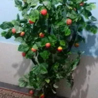 یک درخت سیب مصنوعی