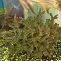 آکواریوم بزرگ