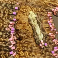 خریدمو طبیعی خریدارمو اصلی قیمت بالا