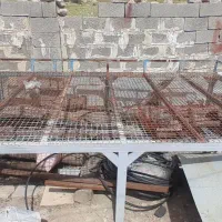 تختخواب|تخت و سرویس خواب|کوه چنار, |دیوار
