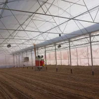 فروش گلخانه مجهز|فروش دفتر صنعتی، کشاورزی، تجاری|داران, |دیوار