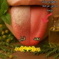 شغل برای خانم های هدفمند و پر انرژی