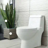 نصب توالت فرنگی،پمپ آب،تصفیه آب|خدمات پیشه و مهارت|گرگان, |دیوار