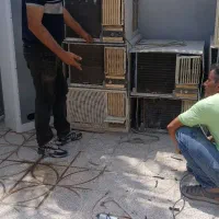 کولر پنجره ای|کولر گازی و فن‌کوئل|قشم, |دیوار
