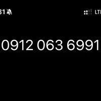 09120636991