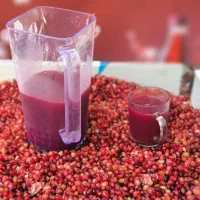 آب انار تازه از باغ . طبیعی  فقط لیتری ۱۰۰هزار|خوردنی و آشامیدنی|گرگان, |دیوار