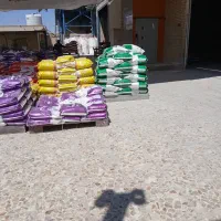 محصول مخصوص تب برفکی