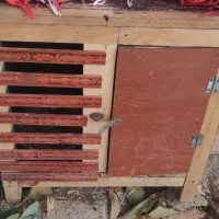 مرغ و خروس|حیوانات مزرعه|هرسین, |دیوار