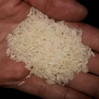 برنج هاشمی ایرانی به شرط|خوردنی و آشامیدنی|تهران, نارمک جنوبی|دیوار