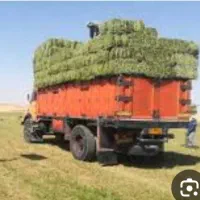 فروش انواع کاه، یونجه،علوفه ،جو