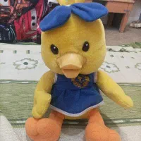 جوجه خوشگل