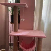 اسکرچر گربه