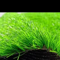 مرکزچمن مصنوعی 150/000 تومان