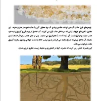 نگهدارنده اب درختان|خدمات باغبانی و درختکاری|رفسنجان, |دیوار