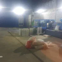 فروش سبد میوه