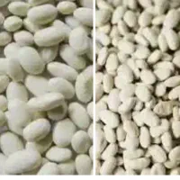 فروش لوبیا سفید
