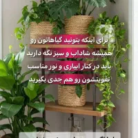 قرص کودگیاهی|گل و گیاه طبیعی|اردبیل, |دیوار