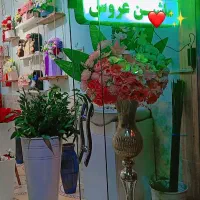 گلسرای آلما|خدمات پذیرایی، مراسم|تربت جام, یحیی آباد|دیوار