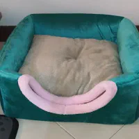 وسایل گربه و غذا بچه گربه