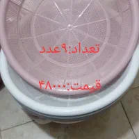 تعدادی پلاسکو به قیمت خرید قبل عید|ظروف نگهدارنده، پلاستیکی، یکبارمصرف|رشت, بیجارپس|دیوار