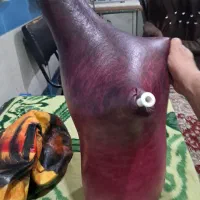 پوست نی انبان|سازهای بادی|اصفهان, باغ فدک|دیوار