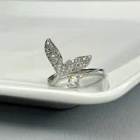 بدلیجات|بدلیجات|رزن, |دیوار