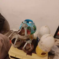 آبخوری کفتر جوجه|لوازم جانبی حیوانات|مشهد, نظام دوست|دیوار