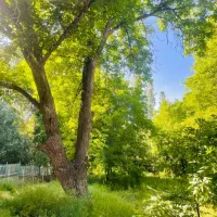 راهنمایی
