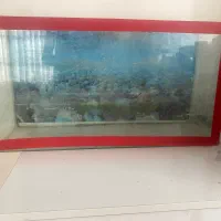 اکواریم