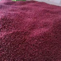 زرشک|خدمات باغبانی و درختکاری|زهان, |دیوار