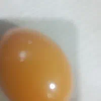 کهربا  عتیقه