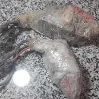 لامپ زنون|قطعات یدکی و لوازم جانبی|فلارد, |دیوار