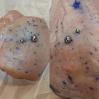 اموزش پیرسینگ و مدل پیرسینگ|خدمات آموزشی|شیراز, فرهنگ شهر|دیوار