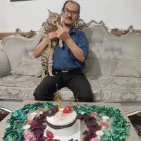 گربه خانگی