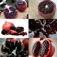 انواع میوه عناب وزرشک بیرجند