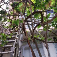 خانه مسکونی|فروش خانه و ویلا|مرند, |دیوار