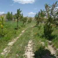 باغ|فروش زمین و ملک کلنگی|نیر (اردبیل), |دیوار