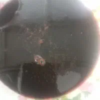 شیره انگور دوشاب