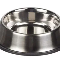 خرگوش نر سگ ماده