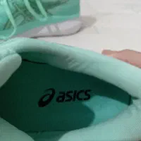 کفش|کیف، کفش، کمربند|میانه, |دیوار