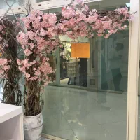 گل دکوراتیو شکوفه گیلاس