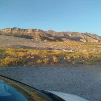 فروش زمین ۱۴۶ متری چالیمار بلوار نماز|فروش زمین و ملک کلنگی|ایلام, |دیوار