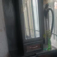 جاکفشی