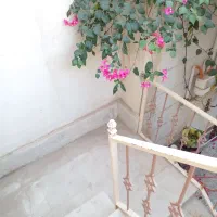 یک خواب محدوده دانشجو
