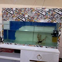 آکواریوم فروشی